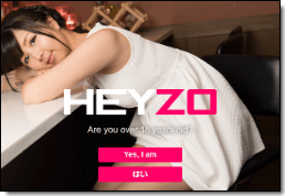 ＨＥＹＺＯサイトイメージ